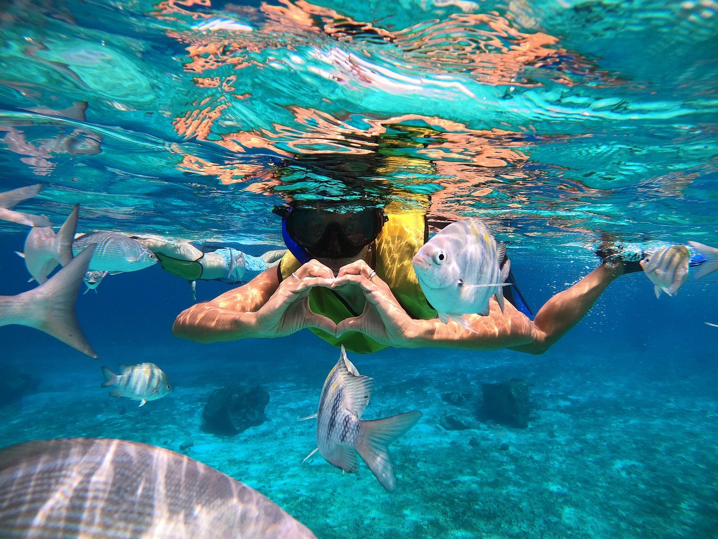 Islands Beach Club Cozumel: Day Pass with Pool & Activities